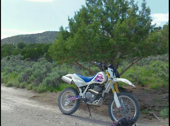 Honda XR600R wOhlins suspension and much more (Trade)