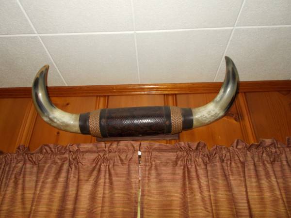 Horn wall mount