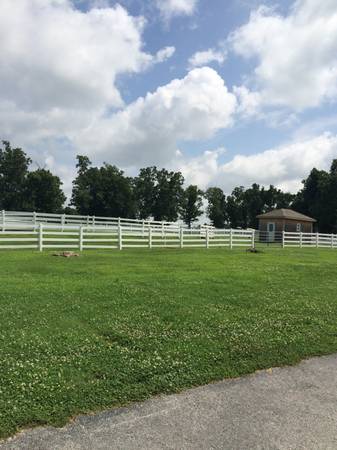 Horse boarding (W. Springdale)