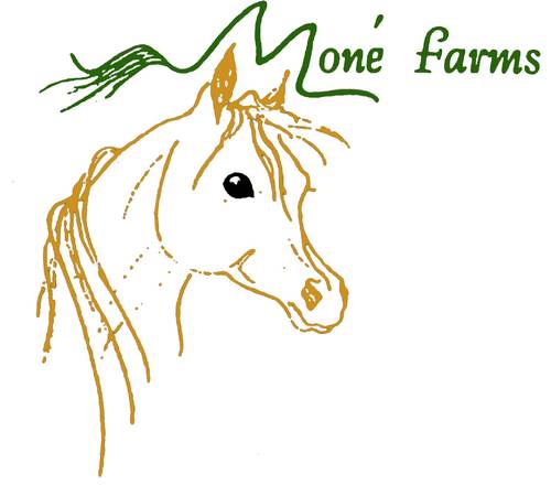 Horse Summer Day Camp (Snohomish)