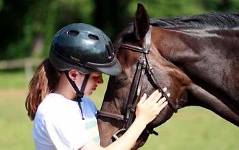 Horseback Riding lessons (2o min from st albans)