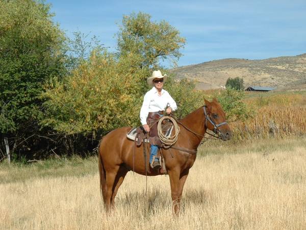 HORSES not being rode (Treasure Valley)