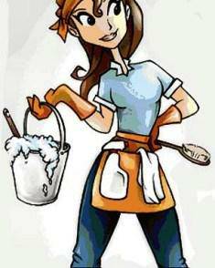House Cleaning Services (indianapolis)