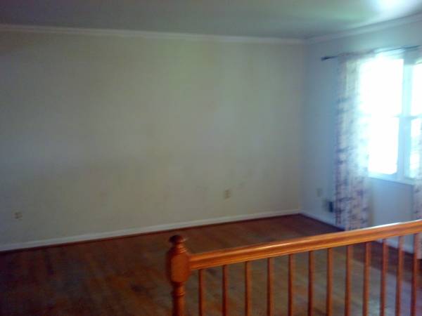 I need painting (Catonsville)