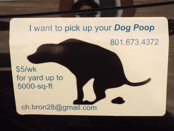 I Want to Pick up Your DOG POOP (salt lake)