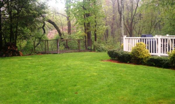 I will beat any lawn care estimate (Columbus)