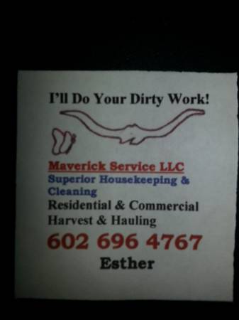 Ill Do Your Dirty Work