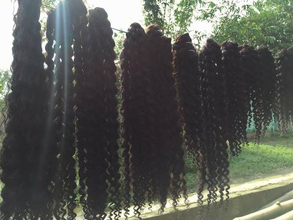 Indian Virgin Temple Hair Imported Direct from India (Atlanta)