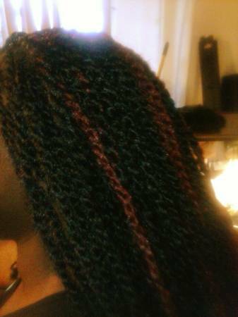 INDIVIDUALS BRAIDS FOR 70 (silver spring, md near white oak)