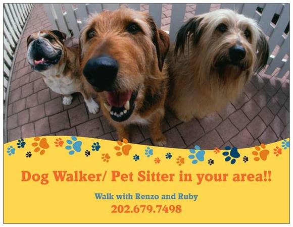INSURED AND BONDED DOG WALKERPET SITTER (BETHESDA MD)