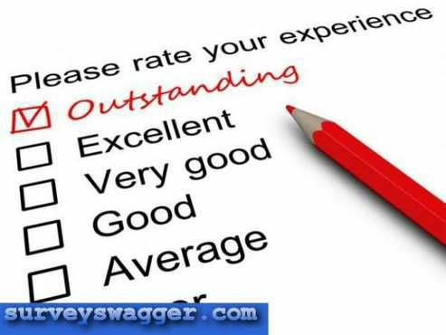 Internet Surveys for Cash and Compensations