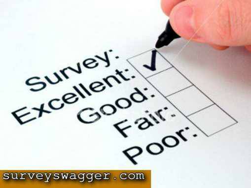 Internet Surveys for Money and Rewards
