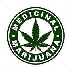 Investors in medical marijuana dispensary (Alaska)