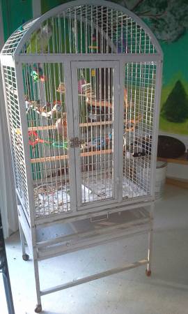 ISO parrot cage asap