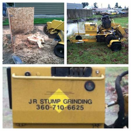 JR Stump Grinding (Tacoma)