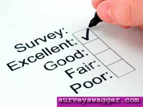 Just take Surveys, Earn Money, Rinse and Repeat