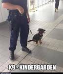 K9 KINDERGARTEN (MIAMI)