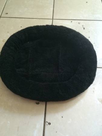 Kitten bed  5.00 (Honolulu)