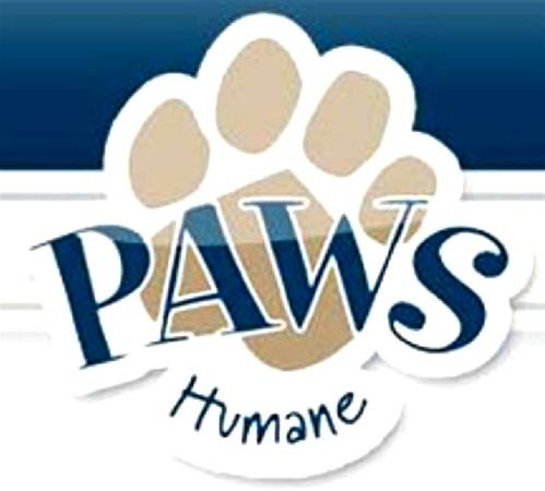 Kittens udr 6 mos 75 amp Cats over are just 5  ENDS JUNE 30  (Paws Humane 4900 Milgen Rd, Columbus, GA)