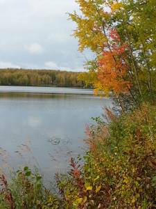 Knik Lake Lots