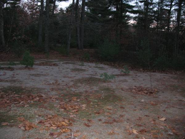 Land for Sale (E. Wakefield,NH)