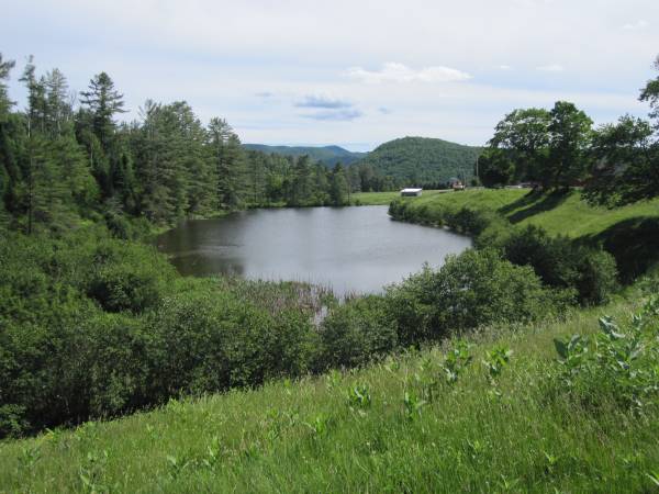 Land for sale (Waterford VT)