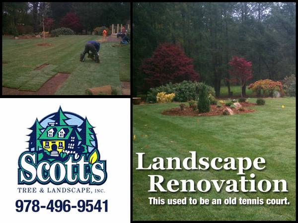 Landscape Renovation