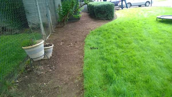 LandscapeGeneral Yard Work amp Debris Hauling Services9 (Clackamas, Oregon)