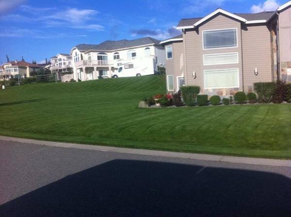 Landscaping  amp lawn care (Anchorage)