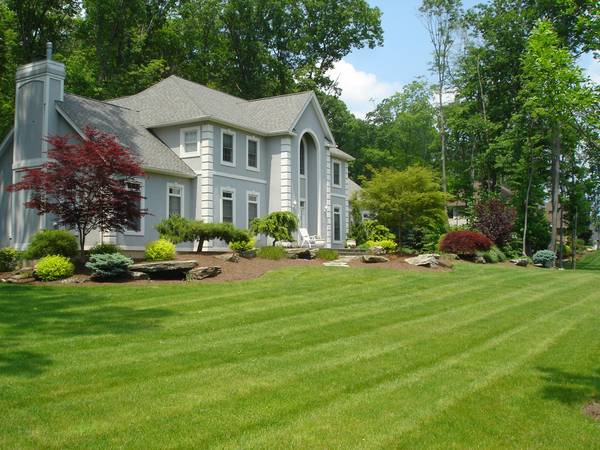 Landscaping, Cleaning and so much more
