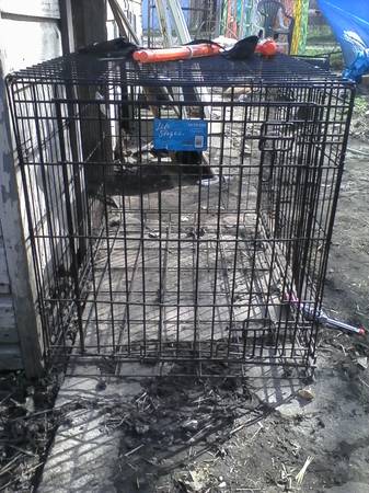 Large Breed Dog Cage (westside)