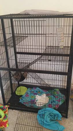 large cage for sale