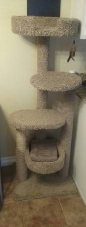 Large Cat Tower (gulfport)