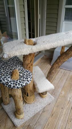 Large cat tower (Withamsville)