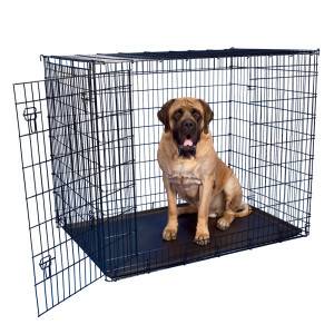 large dog crate (fargo)