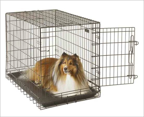 large dog crate (Okeana)