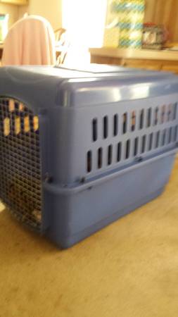 large dog crate (salem, nh)
