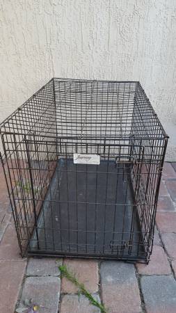 Large dog kennel (Kissimmee)