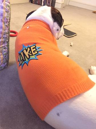Large dog sweater