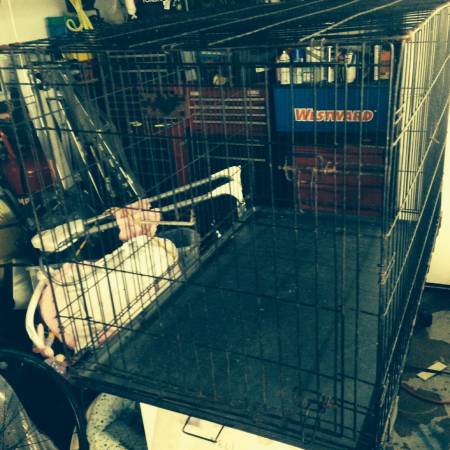 Large Metal Dog Crate.  50.00 (Winter Park)