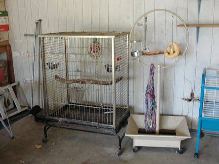 Large Parrot cage and perch (5801 NW 82nd St OKC)