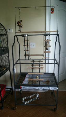 large parrot play stand 150 (long beach)