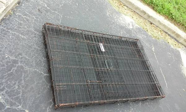 large pet crate 25 (Curry Ford)