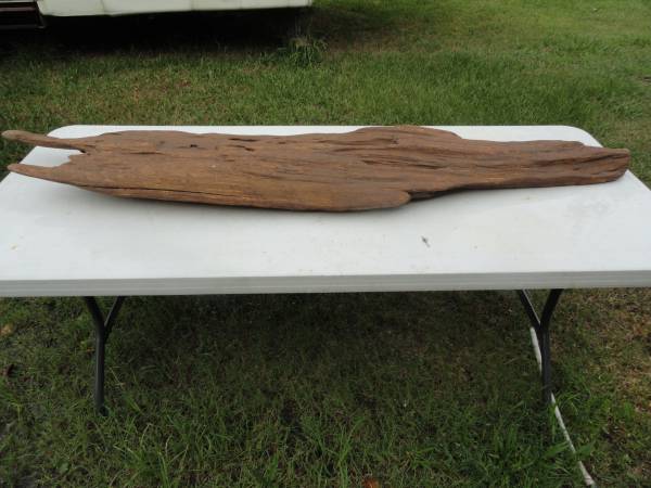 large piece of driftwood