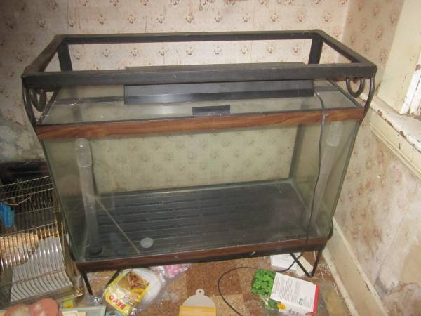 Large tank wstand great to grow wintertime plants (cleveland)