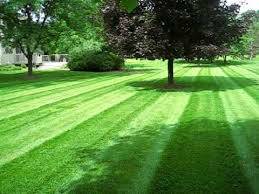 Lawn Care Available (milford area Delaware)