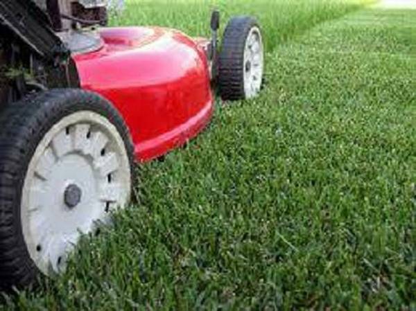 Lawn Care Avg. yard 45.00 and up High grassbushes (Harahan