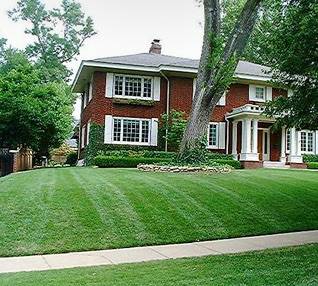 LAWN CARE  LANDSCAPING  LAWNMOWING (Ny)