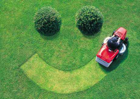 LAWN CARE LAWN MOWING LANDSCAPING (Livonia,Farmington,Northville,Plymouth,)