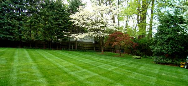 Lawn Care (OmahaCB)